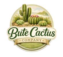 butecactuscompany.co.uk